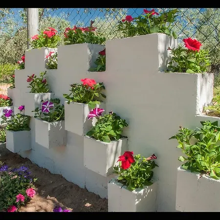 Sunray Appartamento *