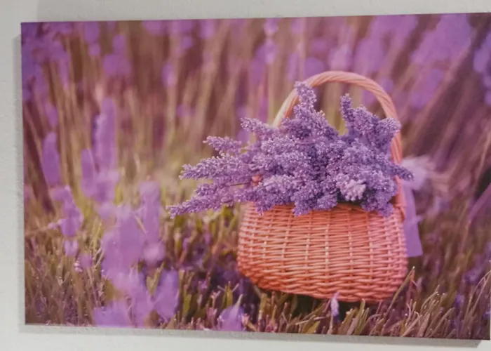 Apartamento Sunray *